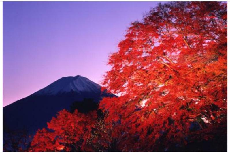 Erable Mt.Fuji "Kaze" Villa Fujikawaguchiko Bagian luar foto